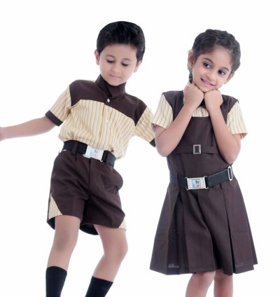 Brown Stripes Academy Wear School Uniform